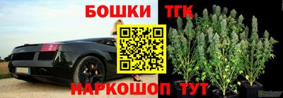стафф Кимры