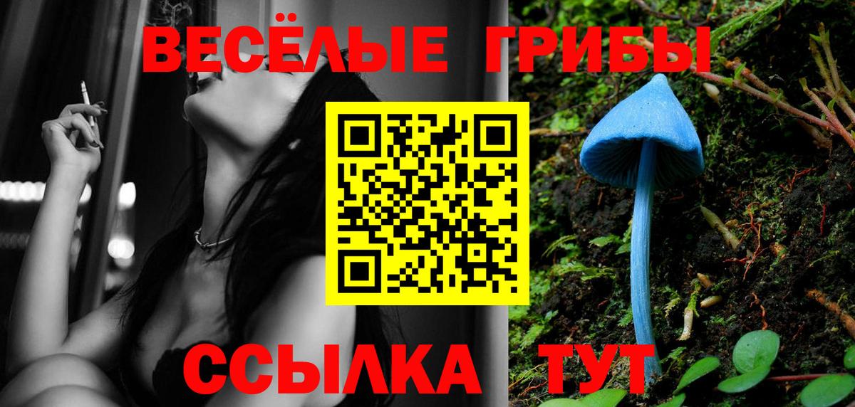 Псилоцибиновые грибы Cubensis Черногорск