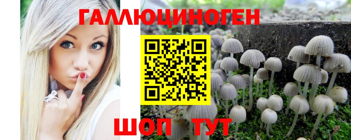Галлюциногенные грибы Psilocybe  Вход с VPN  Галлюциногенные грибы Cubensis  Черногорск 
